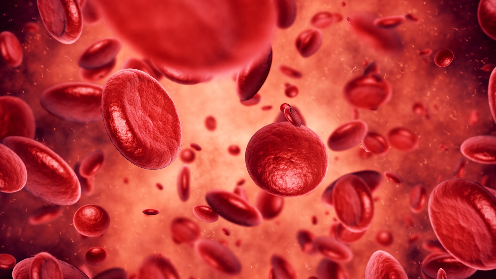 Γραφική απεικόνιση των ερυθρών αιμοσφαιρίων ή ερυθροκυττάρων στο αίμα.