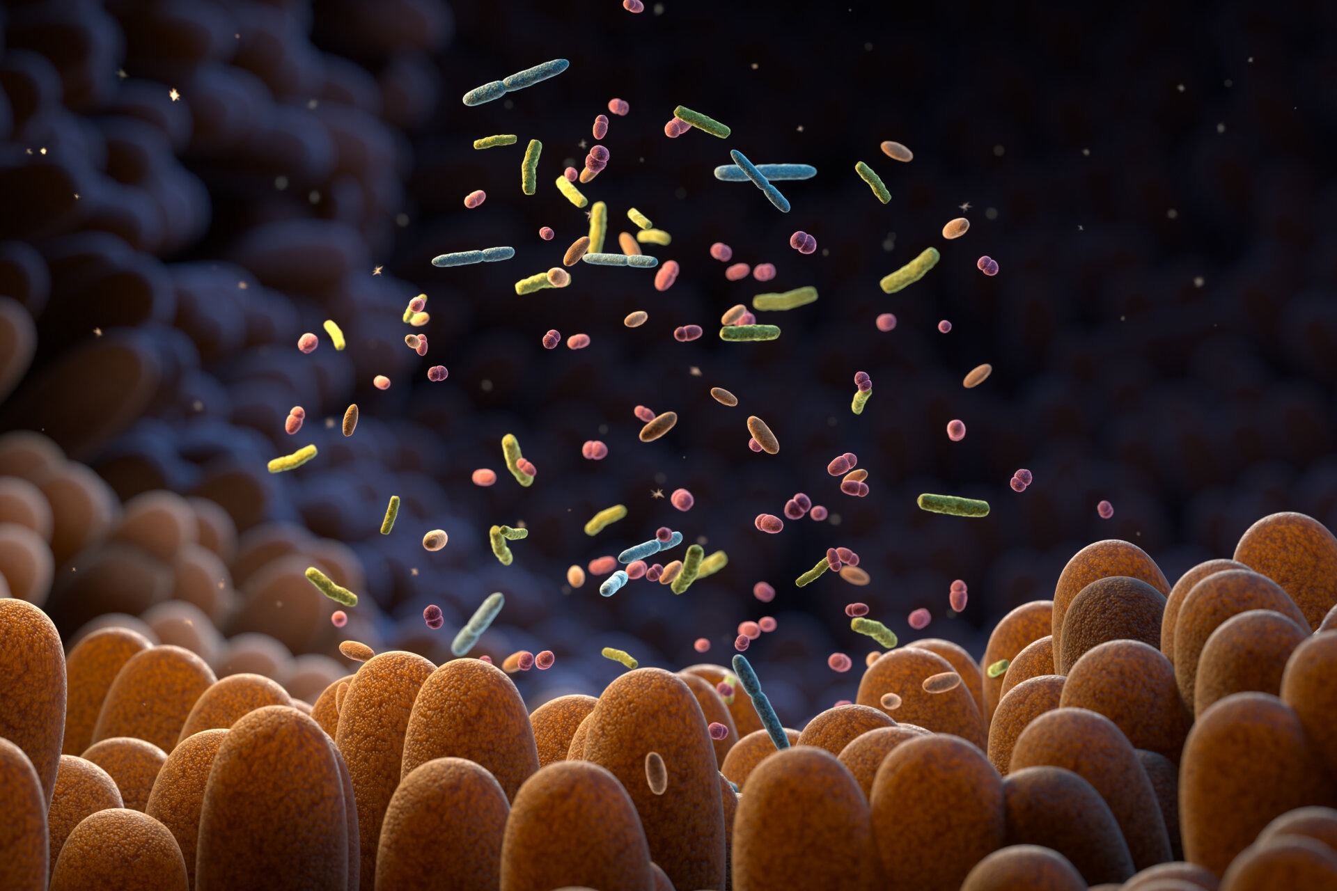Γραφιστική απεικόνιση του ανθρώπινου μικροβιώματος και των βακτηρίων που «κατοικούν» σε αυτό.