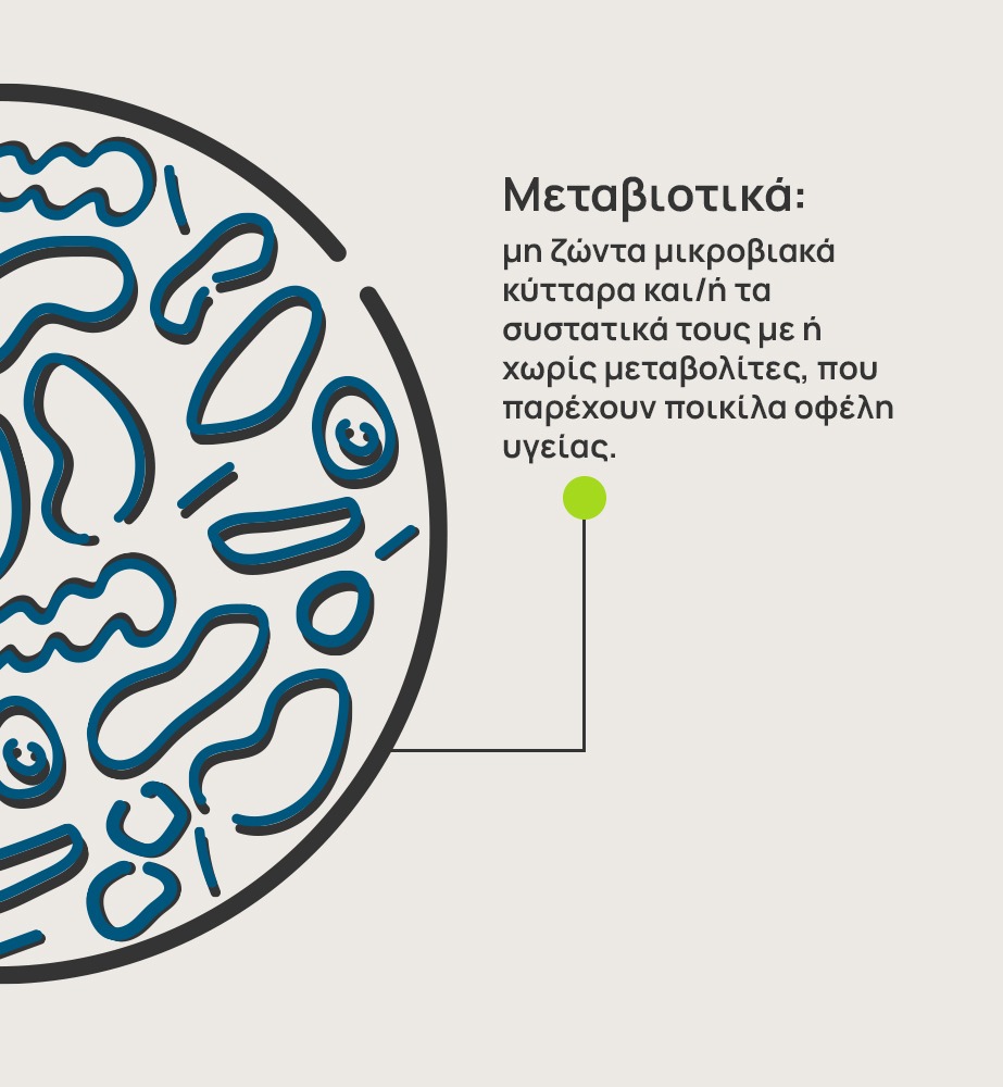 Γραφική αναπαράσταση του εντερικού μικροβιώματος και των φιλικών βακτηρίων που το απαρτίζουν. Στην εικόνα αναγράφεται επίσης το κείμενο «Μεταβιοτικά: μη ζώντα μικροβιακά κύτταρα και/ή τα συστατικά τους με ή χωρίς μεταβολίτες, που παρέχουν ποικίλα οφέλη υγείας.»