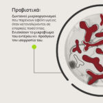 Η εικόνα δείχνει ένα τρυβλίο Πέτρι με μια γραφιστική αναπαράσταση φιλικών βακτηρίων ή αλλιώς προβιοτικών, με κόκκινο χρώμα. Ακόμα, στην εικόνα αναγράφεται το κείμενο “Προβιοτικά: ζωντανοί μικροοργανισμοί που παρέχουν οφέλη υγείας όταν καταναλώνονται σε επαρκείς ποσότητες. Ενισχύουν το μικροβίωμα του εντέρου και προάγουν την ισορροπία του.