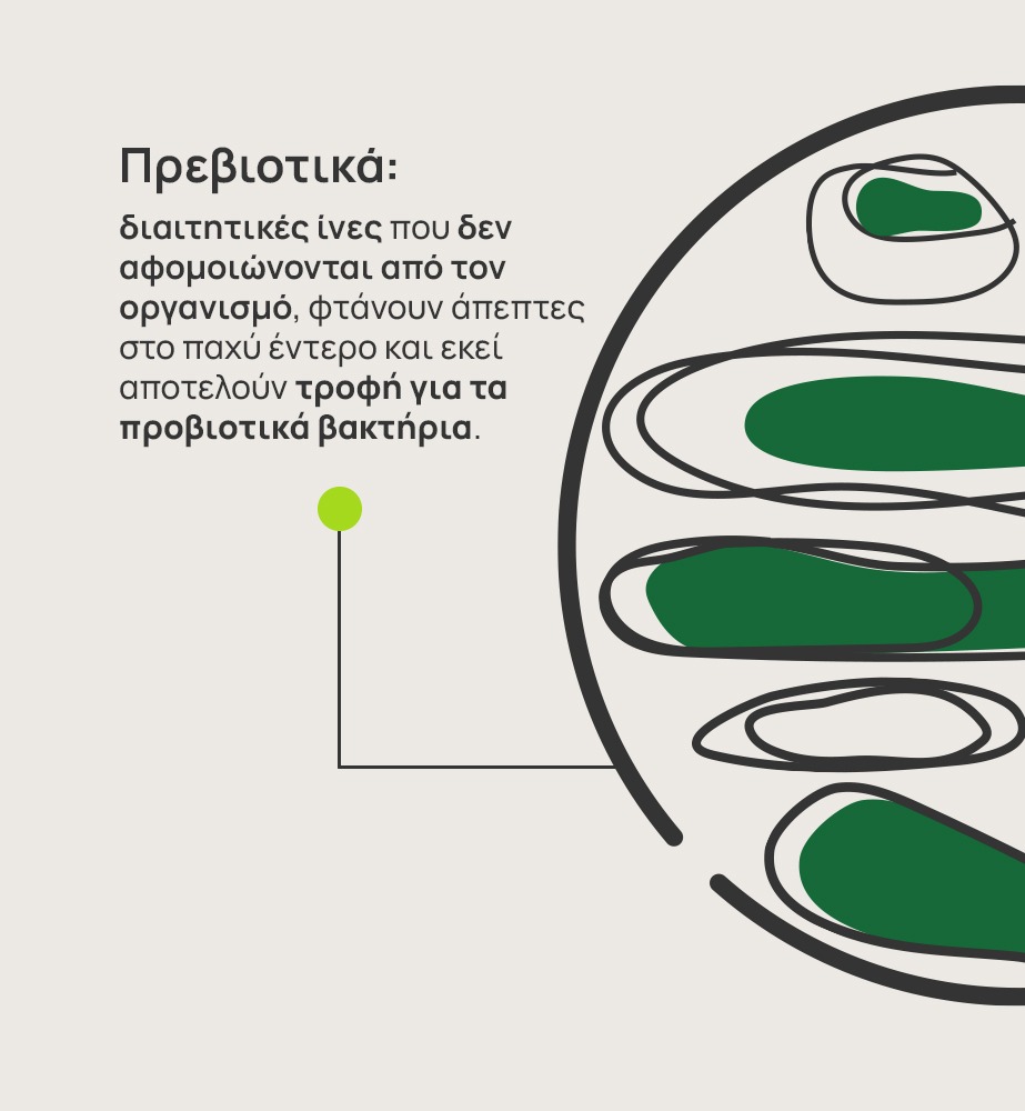 Η εικόνα δείχνει ένα τρυβλίο Πέτρι με μια γραφιστική αναπαράσταση πρεβιοτικών, με πράσινο χρώμα. Ακόμα, στην εικόνα αναγράφεται το κείμενο “Πρεβιοτικά: διαιτητικές ίνες που δεν αφομοιώνονται από τον οργανισμό, φτάνουν άπεπτες στο παχύ έντερο και εκεί αποτελούν τροφή για τα προβιοτικά βακτήρια.