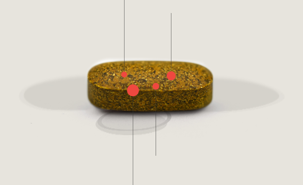 Brown oval pill with red dots and vertical guide lines marking features on its surface.