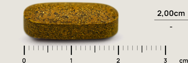 Brown, oval tablet placed on a centimeter ruler, showing a length of about 2 cm.