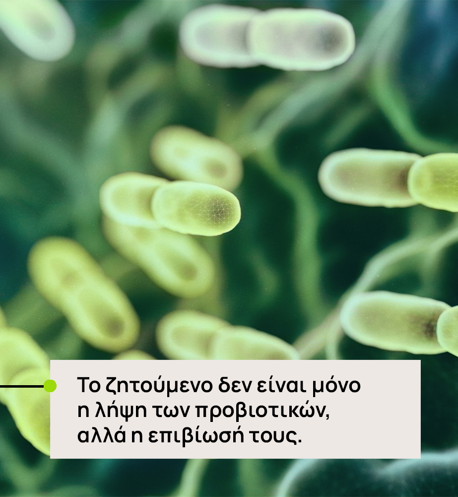 Close-up of probiotic bacteria with Greek text: 'Το ζητούμενο δεν είναι μόνο η λήψη των προβιοτικών, αλλά η επιβίωσή τους'